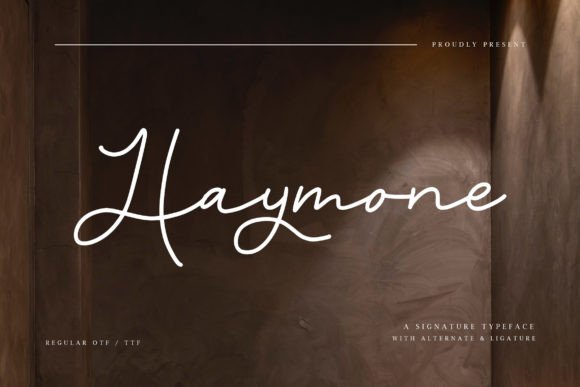 Elevate Your Brand Identity with the Haymone Typeface